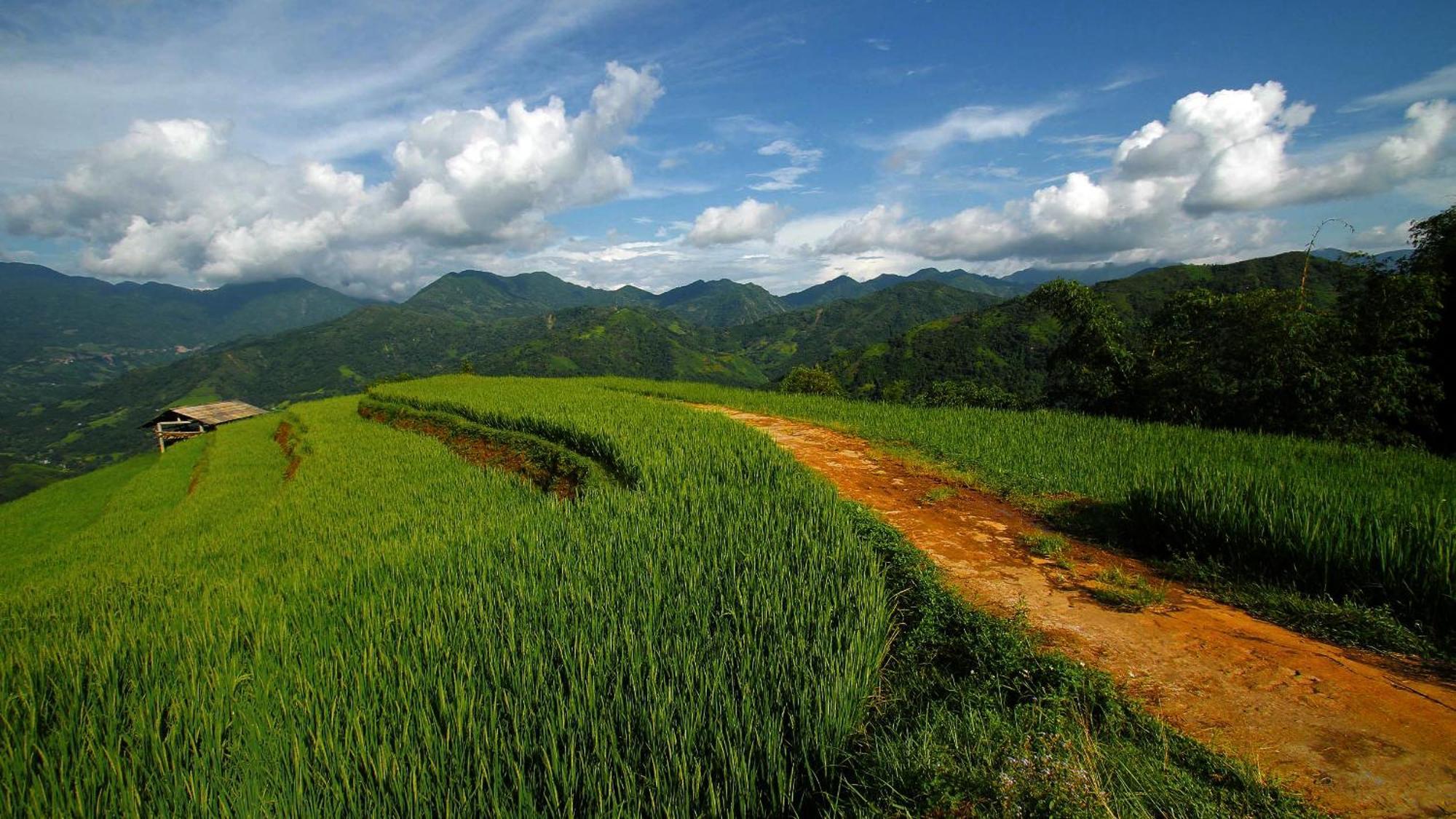 Hoang Su Phi - Mong Ngua Homestay Ha Giang Εξωτερικό φωτογραφία
