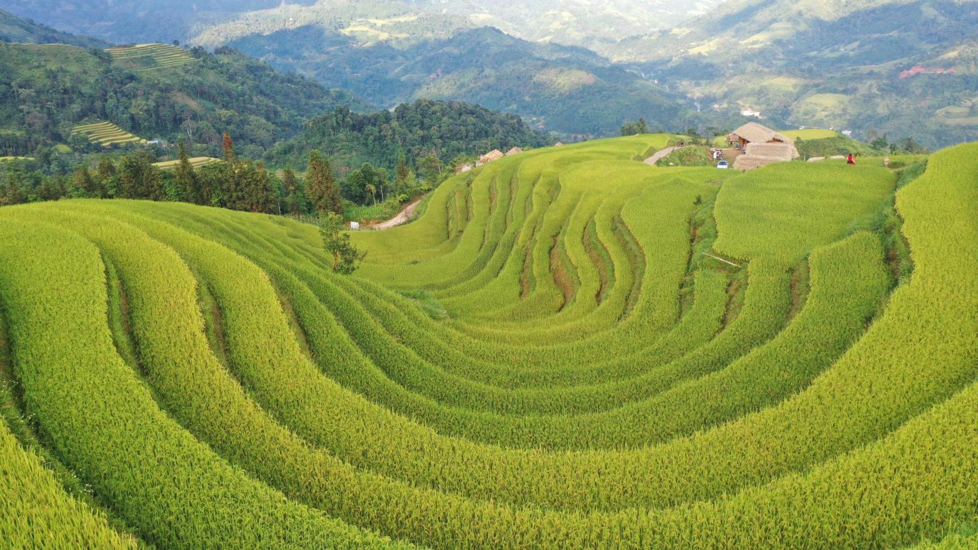 Hoang Su Phi - Mong Ngua Homestay Ha Giang Εξωτερικό φωτογραφία