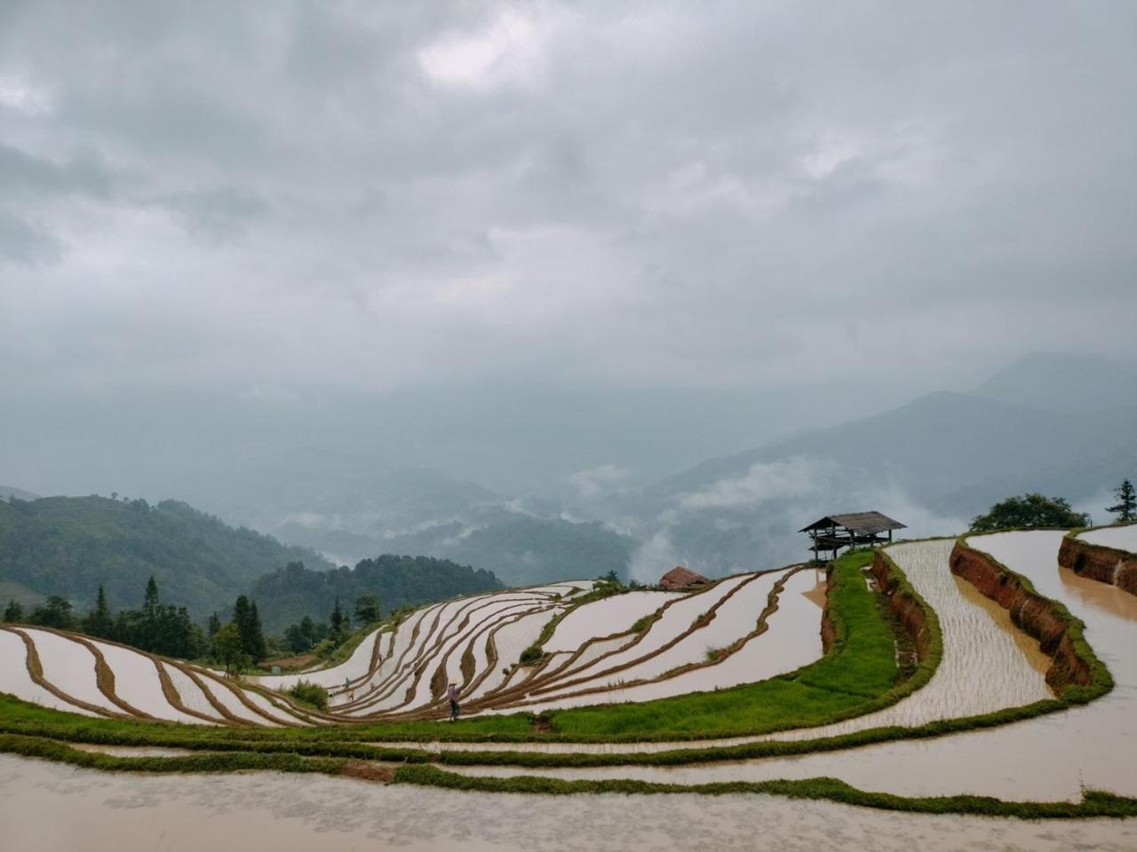 Hoang Su Phi - Mong Ngua Homestay Ha Giang Εξωτερικό φωτογραφία