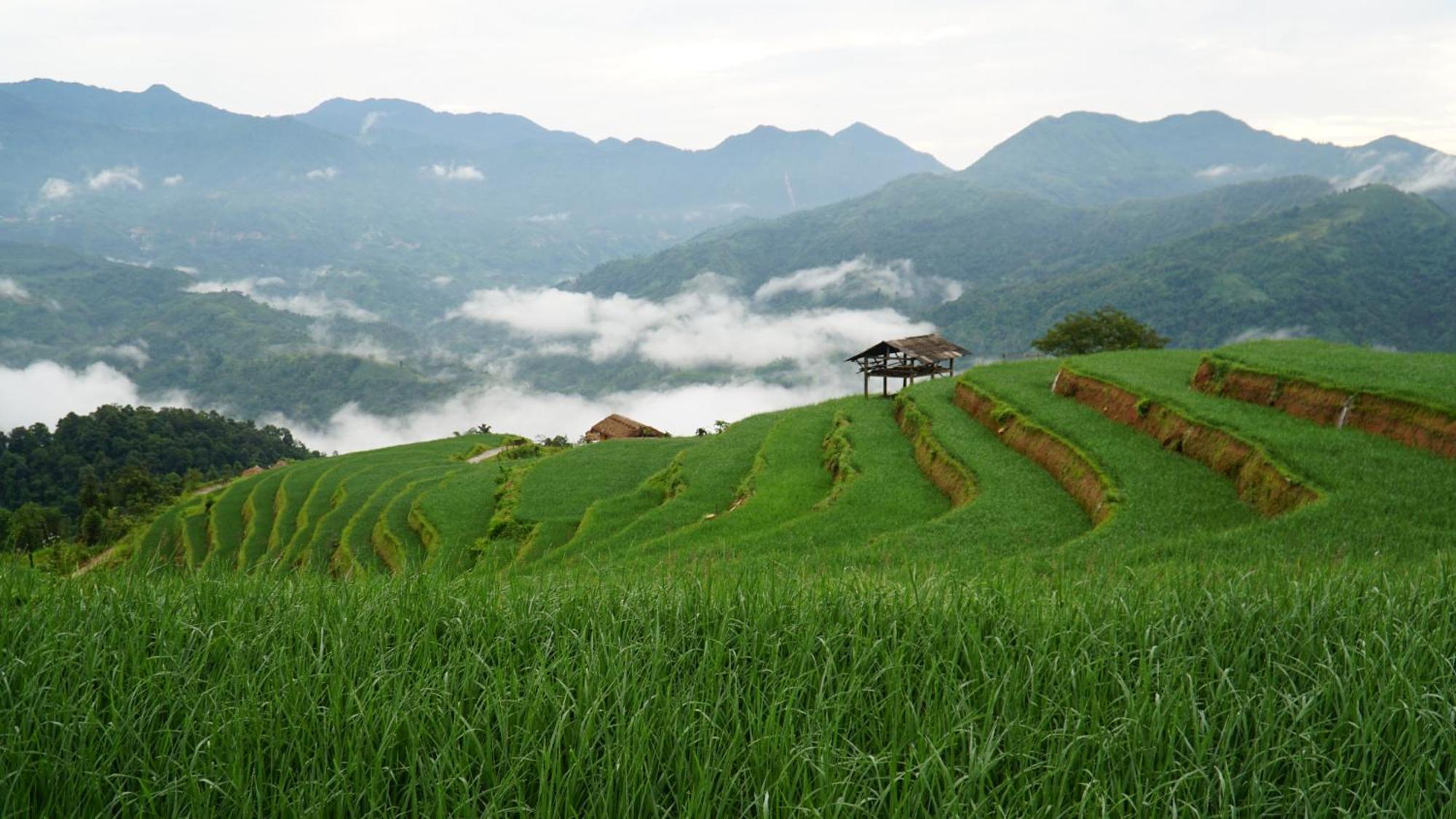 Hoang Su Phi - Mong Ngua Homestay Ha Giang Εξωτερικό φωτογραφία
