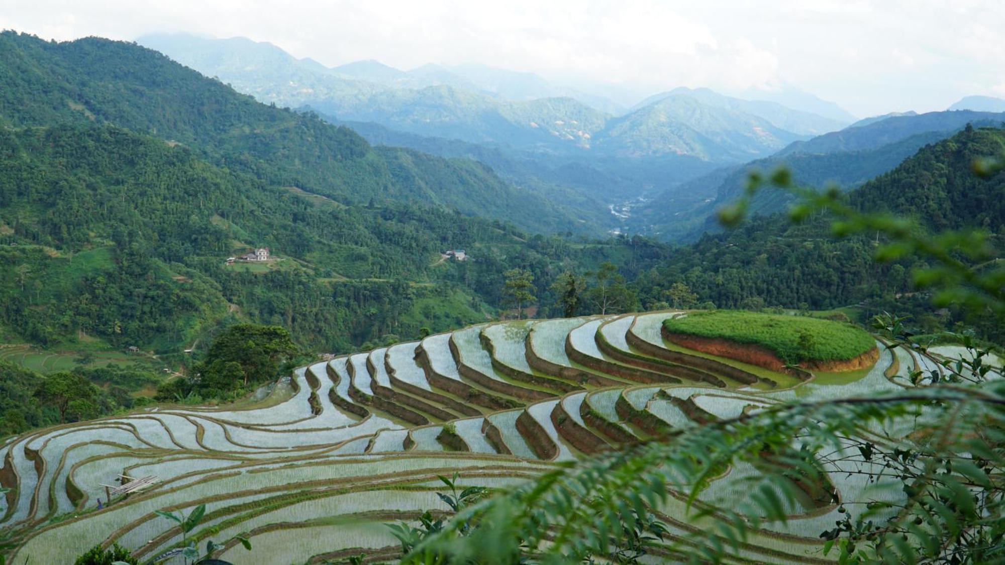 Hoang Su Phi - Mong Ngua Homestay Ha Giang Εξωτερικό φωτογραφία