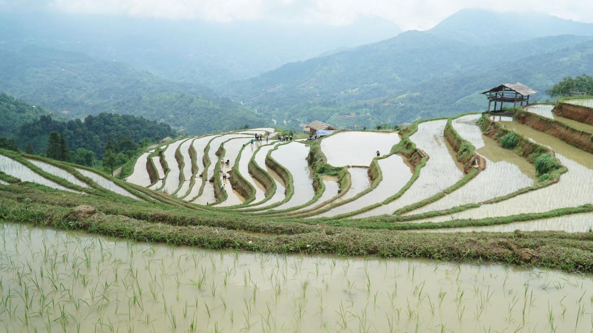 Hoang Su Phi - Mong Ngua Homestay Ha Giang Εξωτερικό φωτογραφία