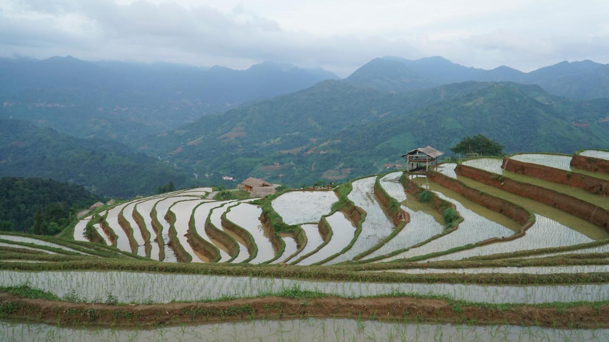 Hoang Su Phi - Mong Ngua Homestay Ha Giang Εξωτερικό φωτογραφία