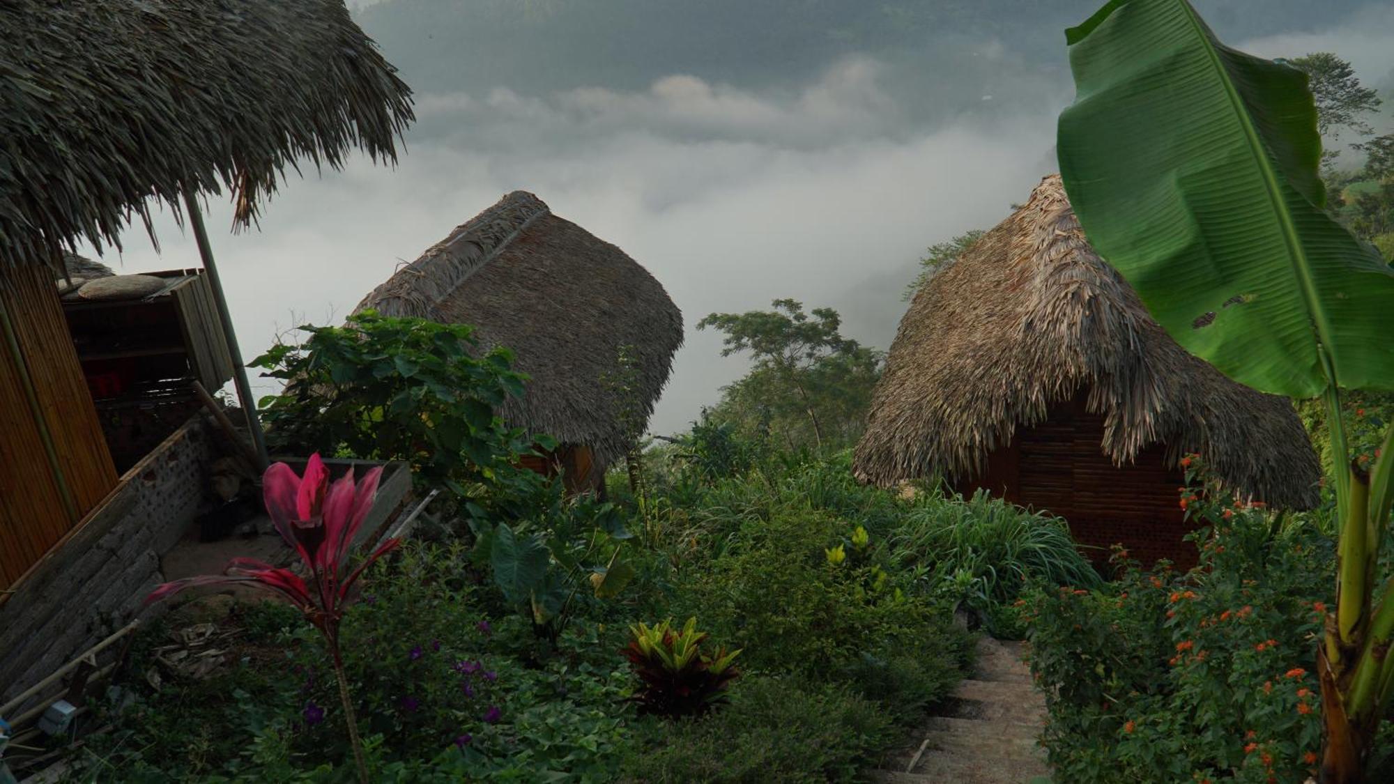Hoang Su Phi - Mong Ngua Homestay Ha Giang Εξωτερικό φωτογραφία